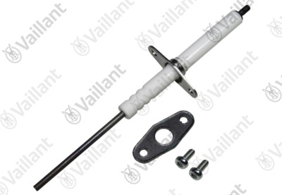Electrode ionisation