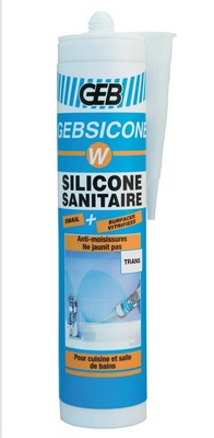 Gebsicone